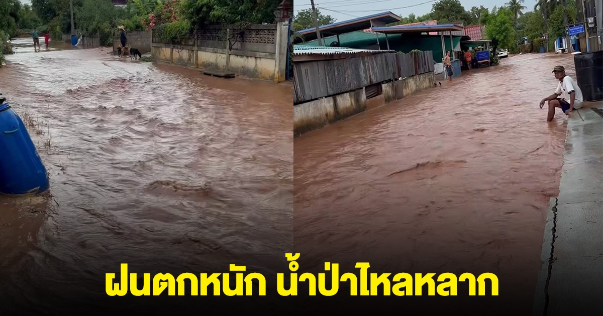 ฝนตกหนัก น้ำป่าไหลหลาก ที่บ้านพุทรา ถนนพิมาย-ชุมพวง