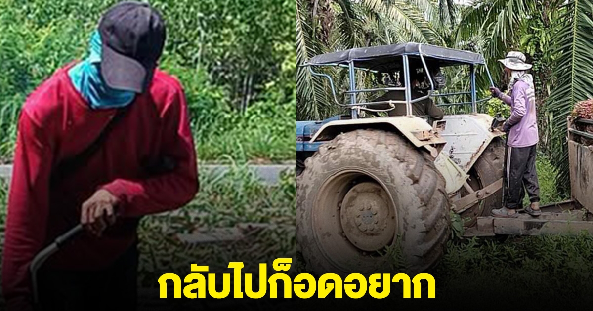 แรงงามกัมพูชาบางส่วน ลั่น ไม่กลับบ้าน กลับไปก็อดอยาก อยู่ไทยมีความสุขกว่า