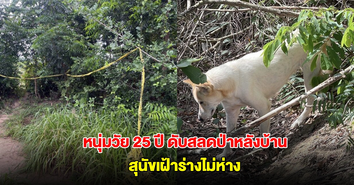หนุ่มวัย 25 ปี ดับสลดป่าหลังบ้าน มีบาดแผลตามร่างกาย สุนัขเฝ้าร่างไม่ห่าง
