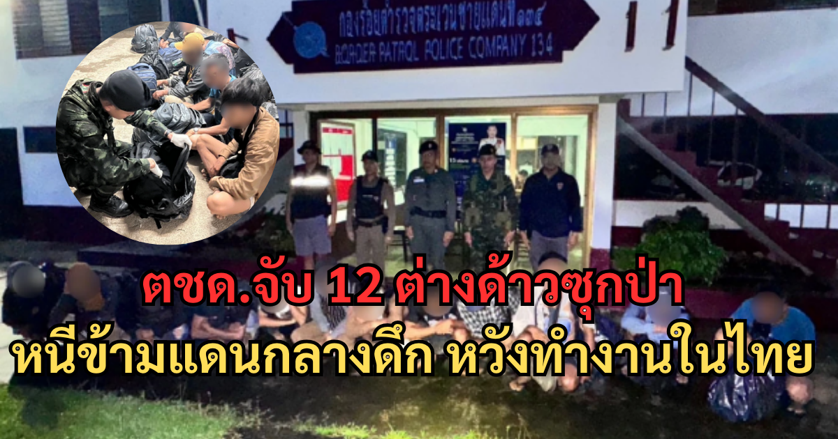 ตชด.จับ 12 ต่างด้าวซุกป่า หนีข้ามแดนกลางดึก หวังทำงานในไทย จ่ายค่านายหน้า 2 หมื่น