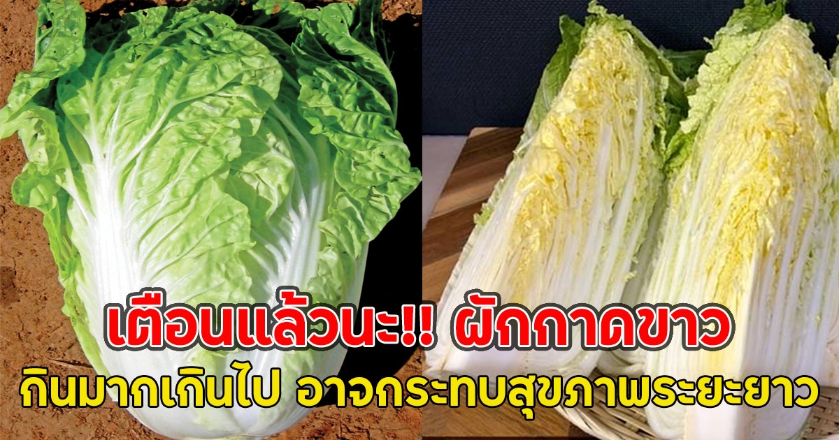 เตือนแล้วนะ!! ผักกาดขาว กินมากเกินไปอาจกระทบสุขภาพระยะยาว