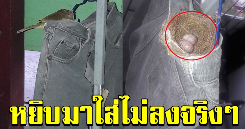หนุ่มโพสต์ กางเกงยีนส์
