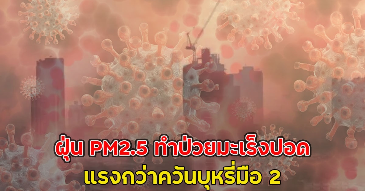 งานวิจัยช็อก!! ฝุ่น PM2.5 ทำป่วยมะเร็งปอด ในคนไม่สูบบุหรี่ แรงกว่าควันบุหรี่มือ 2