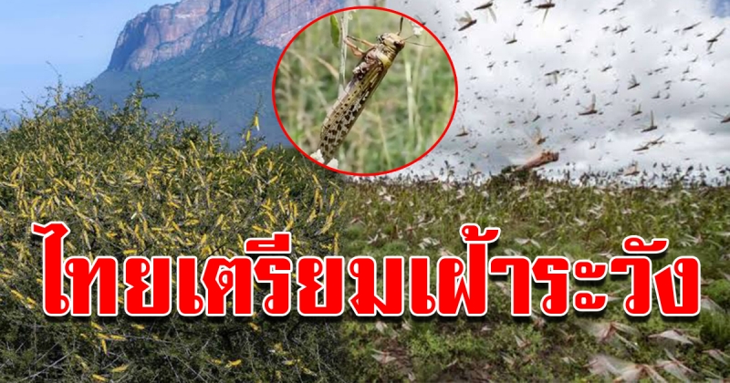 ไทยเตรียมเฝ้าระวัง