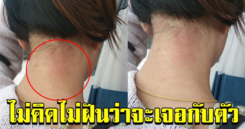 สาวโพสต์ ไม่คิดไม่ฝันว่าจะเจอกับตัวเอง