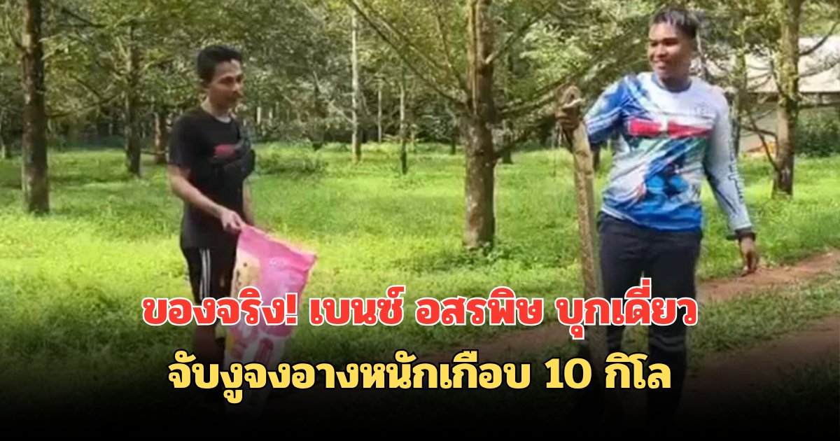 ของจริง เบนซ์ อสรพิษ บุกเดี่ยว จับงูจงอางหนักเกือบ 10 กิโล