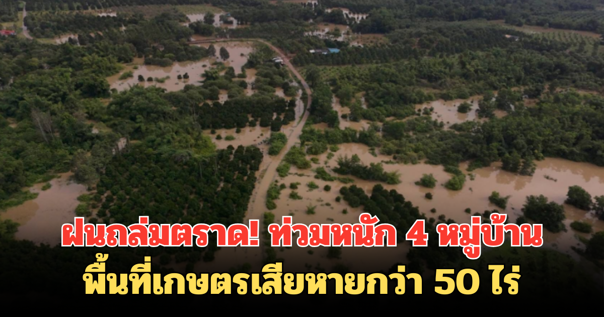 ฝนถล่มตราด! ท่วมหนัก 4 หมู่บ้านพื้นที่เกษตรเสียหายกว่า 50 ไร่