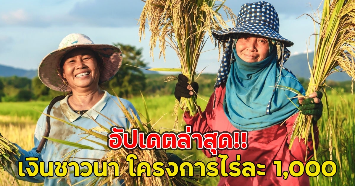 อัปเดตล่าสุด!! เงินชาวนา โครงการไร่ละ 1,000