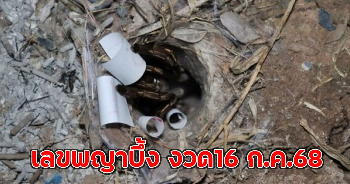 มาแล้ว!! เลขพญาบึ้ง งวด16 ก.ค.68