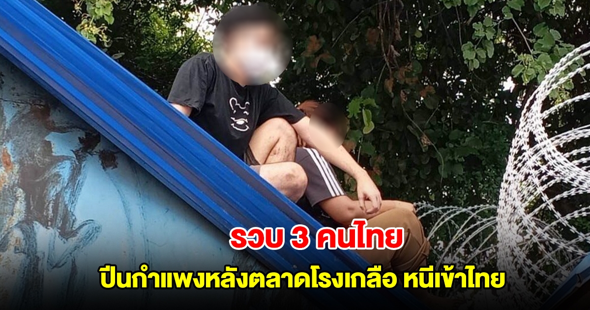 รวบ 3 คนไทย ปีนกำแพงหลังตลาดโรงเกลือ หนีเข้าไทย สารภาพทำงานเว็บพนัน