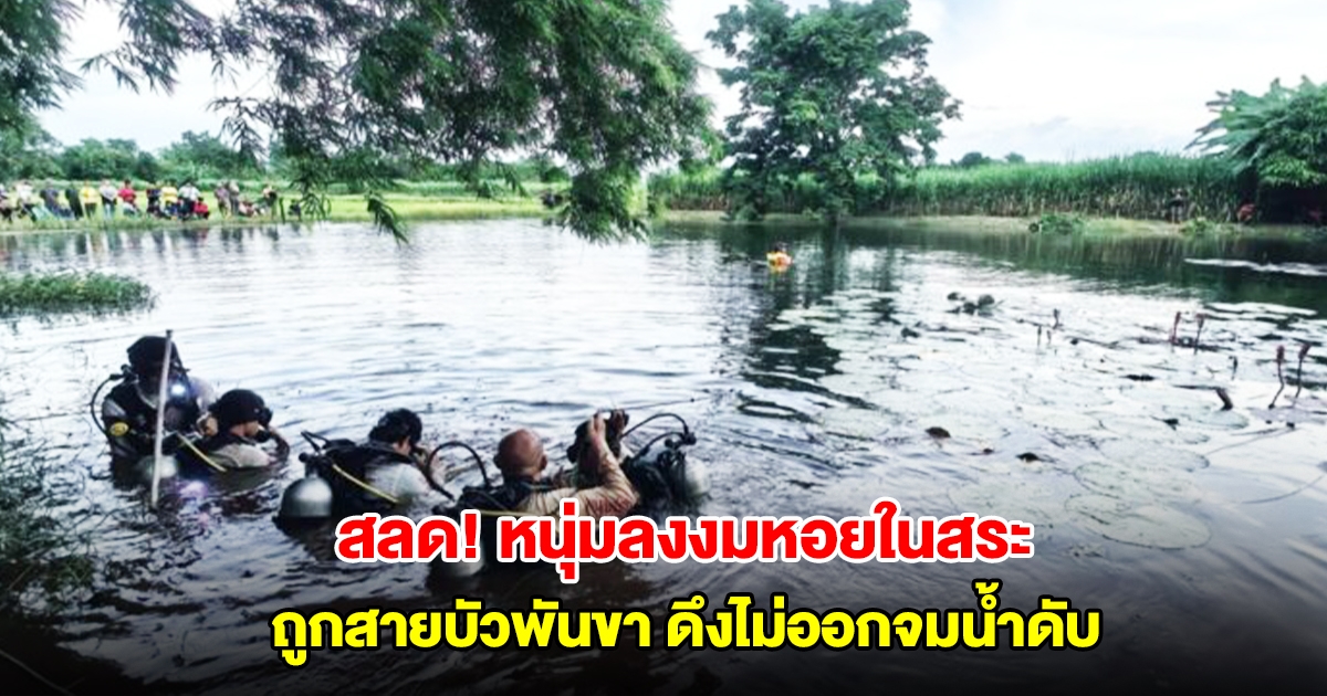 สลด! หนุ่มลงงมหอยในสระประทังชีวิต ถูกสายบัวพันขา ดึงไม่ออกจมน้ำเสียชีวิต