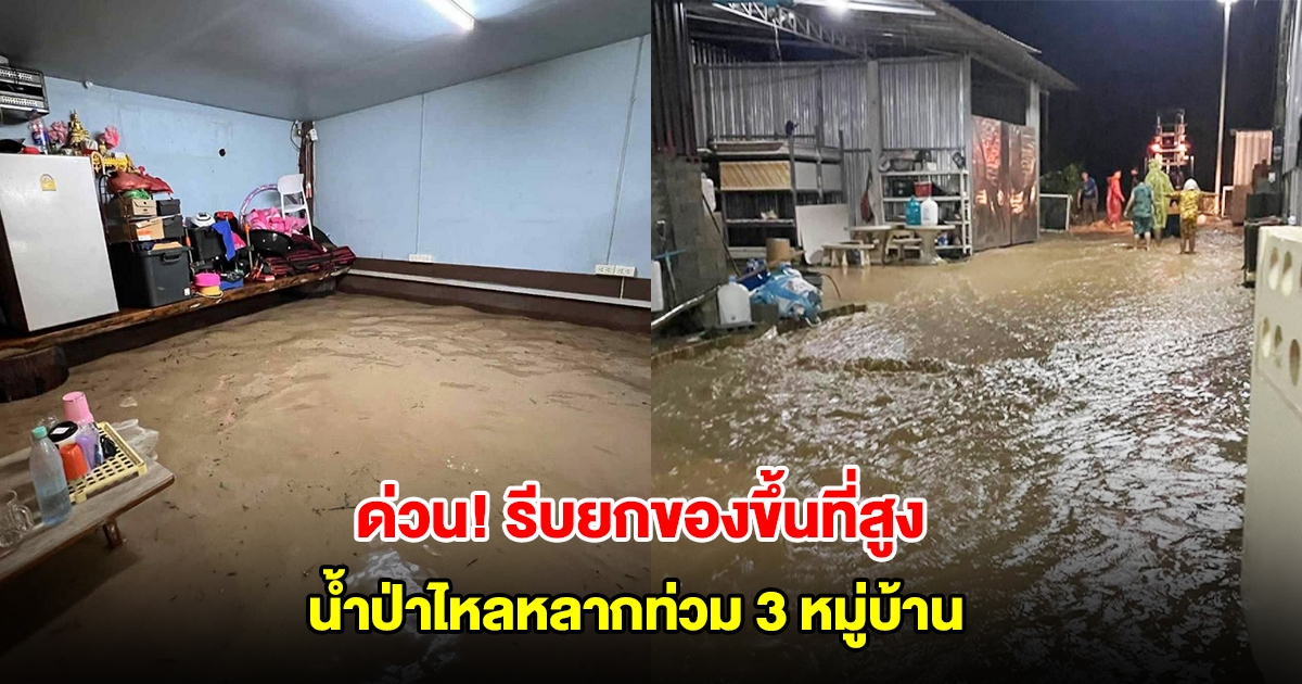 ด่วนที่สุด! เชียงใหม่ น้ำป่าไหลทะลักท่วมไม่ทันตั้งตัว 3 หมู่บ้าน รีบยกของขึ้นที่สูง