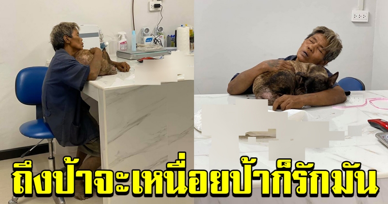 คุณป้า พาสุนัขมาหาหมอ
