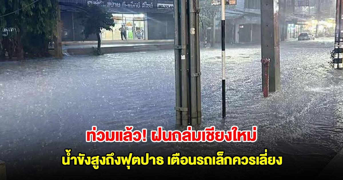 ท่วมแล้ว! ฝนถล่มเชียงใหม่ น้ำขังสูงถึงฟุตปาธ เตือนรถเล็กควรเลี่ยง