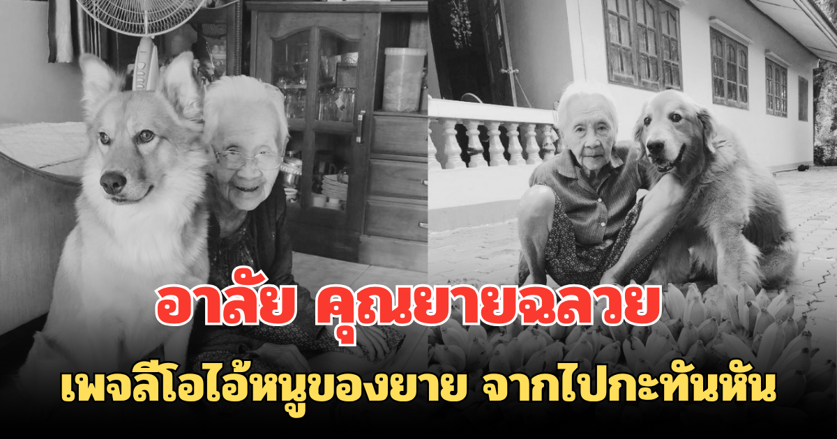 อาลัย คุณยายฉลวย เพจลีโอไอ้หนูของยาย จากไปกะทันหัน