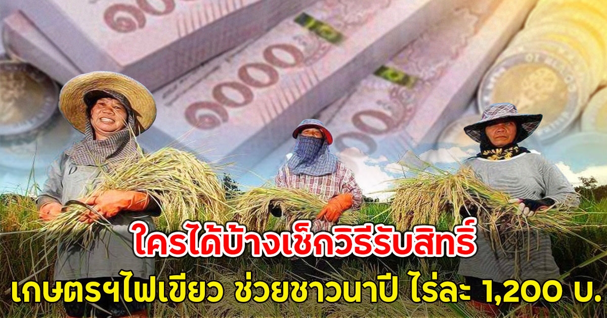 ข่าวดี!! เกษตรฯไฟเขียว ช่วยชาวนาปี ไร่ละ 1,200 บ.ใครได้บ้างเช็กวิธีรับสิทธิ์