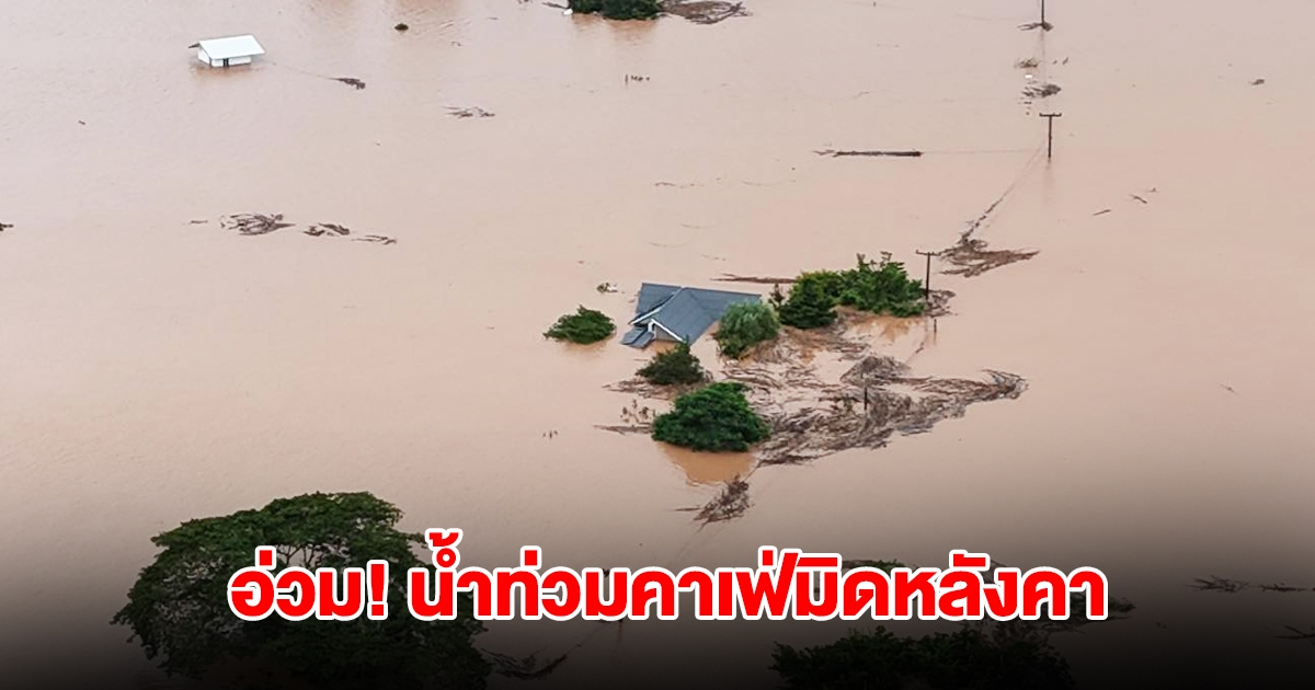 อ่วม! น้ำท่วมคาเฟ่ดังเมืองน่าน มิดหลังคาแล้ว ปีนี้เลวร้ายมากจริงๆ