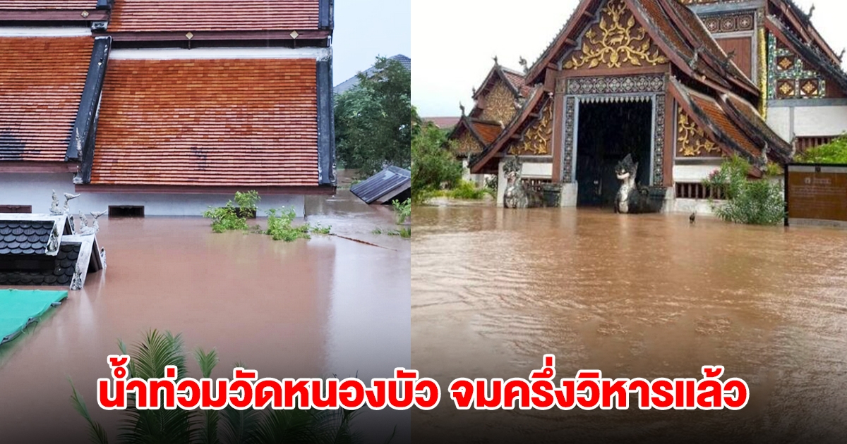 วิกฤต! น้ำท่วมวัดหนองบัว จมครึ่งวิหาร จิตรกรรมฝาผนังเสียหายหนัก