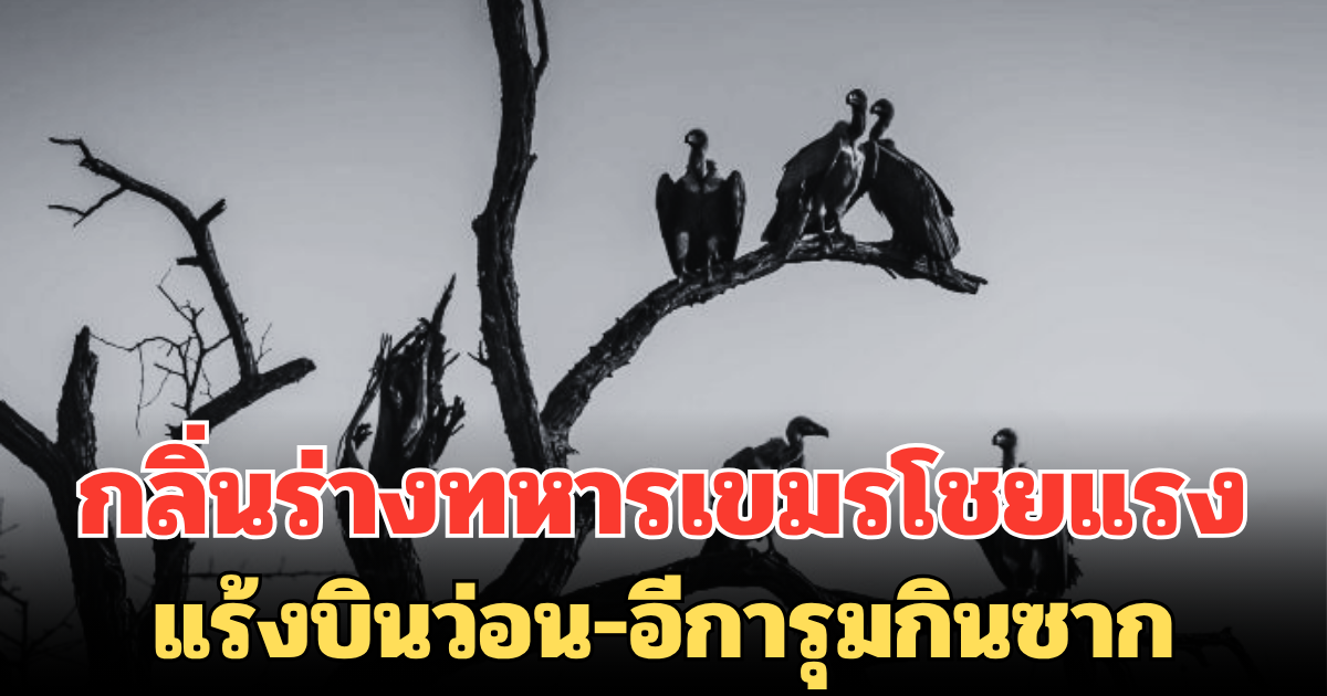 สยองแนวชายแดน! กลิ่นร่างทหารเขมรโชยแรง แร้งบินว่อน-อีการุมกินซาก