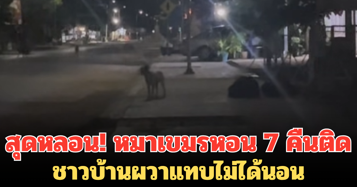 สุดหลอน! หมาเขมรหอน 7 คืนติด หลังเหตุปะทะชายแดน ชาวบ้านผวาแทบไม่ได้นอน