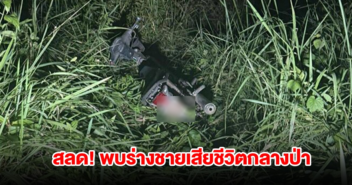 สลด! พบร่างชายถูกปลิดชีพโหดทิ้งกลางป่า ปิดปาก มัดมือมัดเท้า เผยเหตุการณ์วันสุดท้ายที่เจอตัว