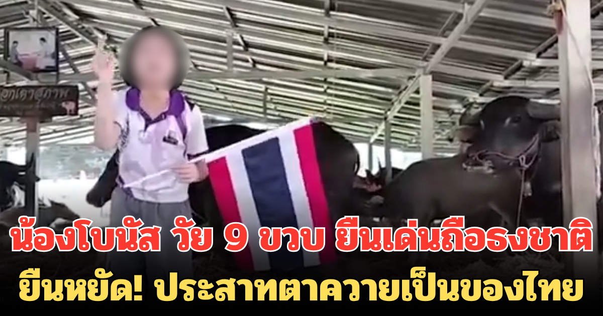 เสียงจากเด็กไทย น้องโบนัส วัย 9 ขวบ ยืนเด่นถือธงชาติ ยืนหยัด! ประสาทตาควายเป็นของไทย