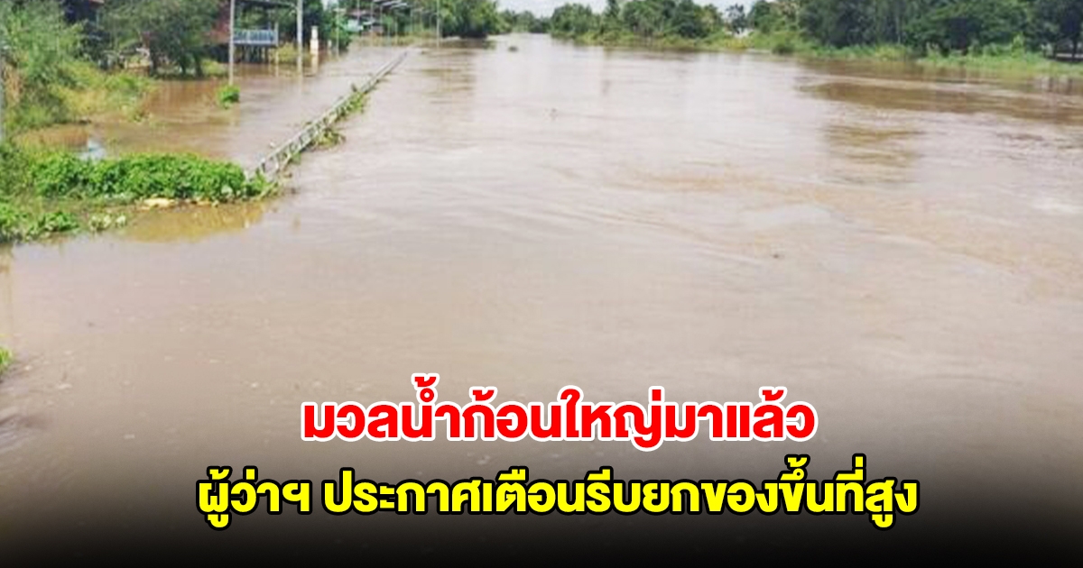 มวลน้ำยมก้อนใหญ่มาแล้ว ทะลักเข้าพิจิตร ล้นตลิ่ง ผู้ว่าฯ ประกาศเตือนรีบยกของขึ้นที่สูง