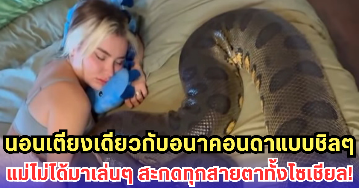 แรงไม่ไหว! สาว IG ล้านฟอลล์นอนกอดอนาคอนดาแบบไม่สะทกสะท้าน