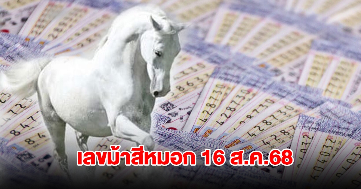 มาแล้ว เลขม้าสีหมอก งวดวันที่ 16 สิงหาคม 2568