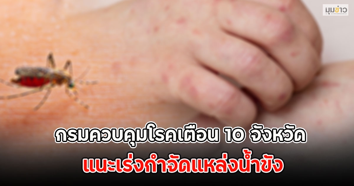 กรมควบคุมโรคเตือน 10 จังหวัด แนะเร่งกำจัดแหล่งน้ำขัง