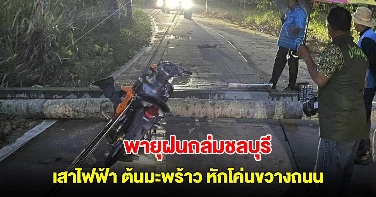 พายุฝนถล่มชลบุรี เสาไฟฟ้า ต้นมะพร้าว หักโค่นขวางถนน จนท.เร่งเคลียร์พื้นที่