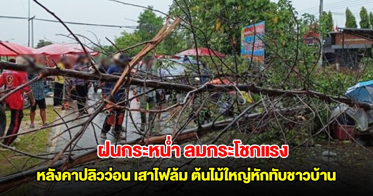 เพชรบุรีฝนกระหน่ำ ลมกระโชกแรง หลังคาปลิวว่อน เสาไฟล้ม ต้นไม้ใหญ่หักทับชาวบ้านต้องปั๊มหัวใจยื้อชีวิต