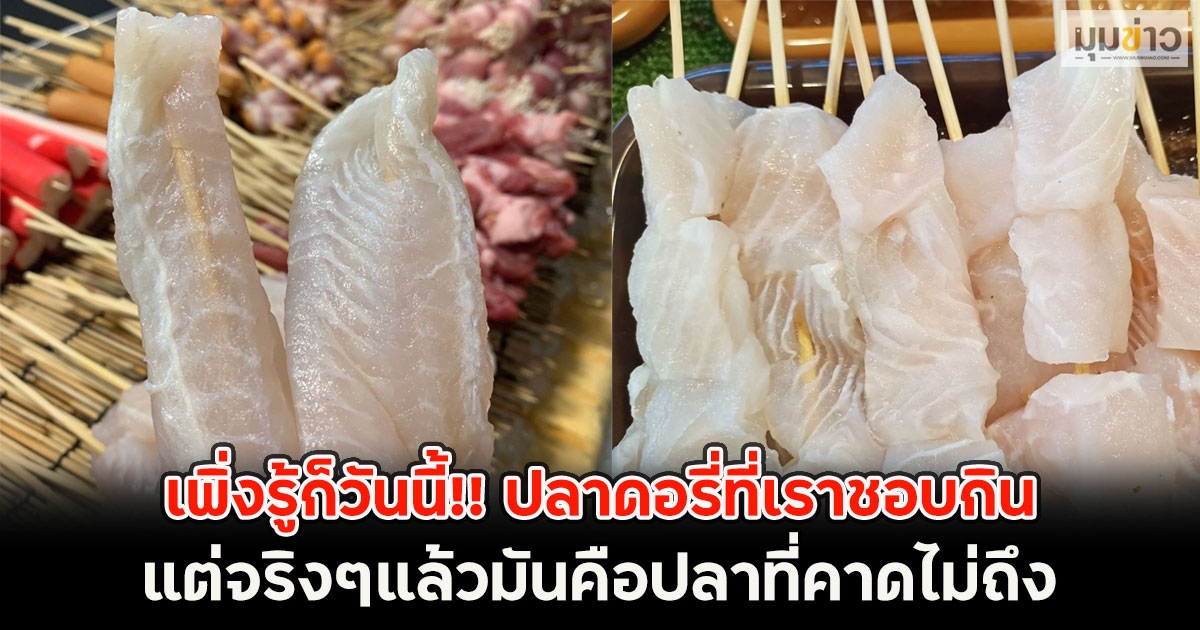 เพิ่งรู้ก็วันนี้!! ปลาดอรี่ที่เราชอบกิน แต่จริงๆแล้วมันคือปลาที่คาดไม่ถึง