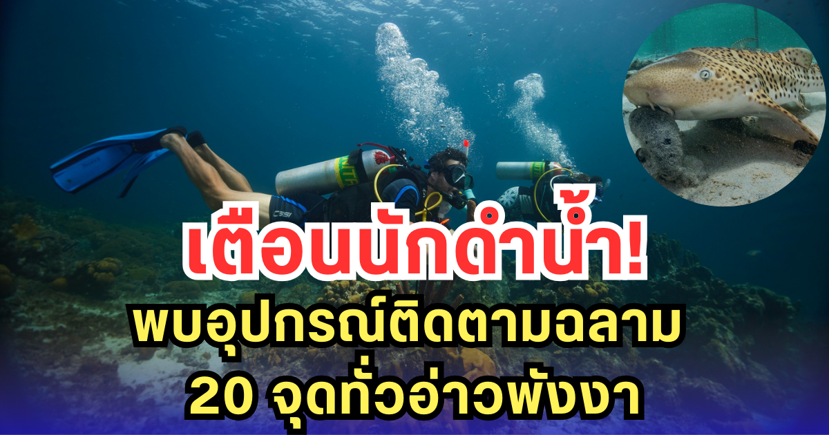 เตือนนักดำน้ำ พบอุปกรณ์ติดตามฉลาม 20 จุดทั่วอ่าวพังงา