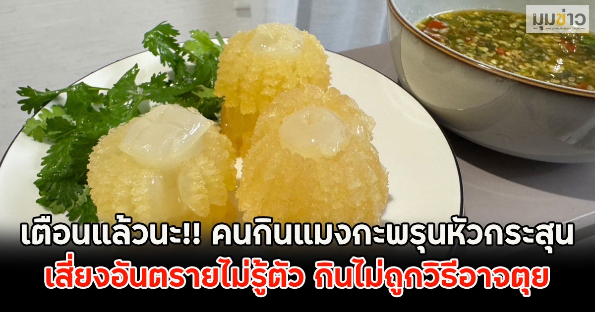 เตือนแล้วนะ!! คนกินแมงกะพรุนหัวกระสุน เสี่ยงอันตรายไม่รู้ตัว กินไม่ถูกวิธีอาจตุย