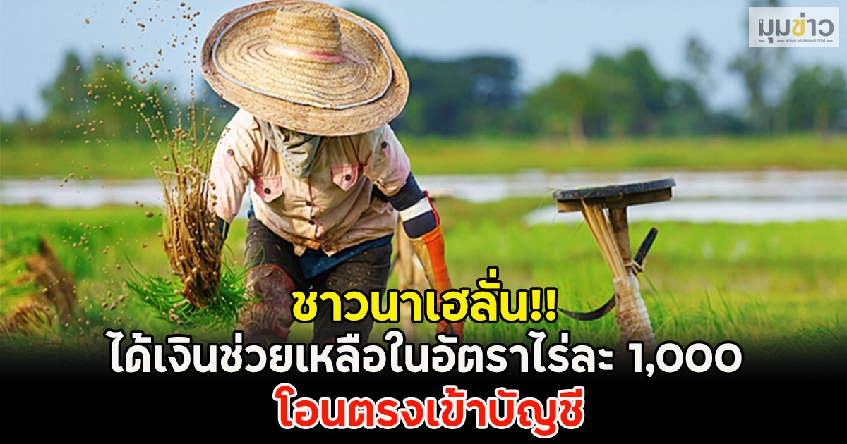 ชาวนาเฮลั่น!! ได้เงินช่วยเหลือในอัตราไร่ละ 1,000 โอนตรงเข้าบัญชี