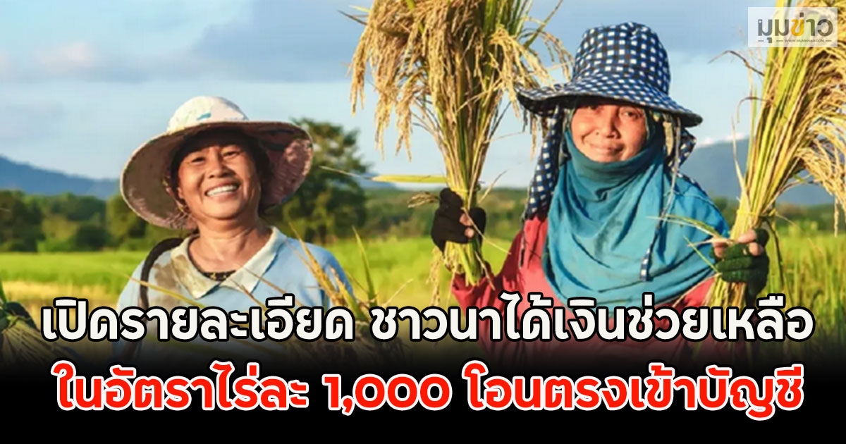 เปิดรายละเอียด ชาวนาได้เงินช่วยเหลือในอัตราไร่ละ 1,000 โอนตรงเข้าบัญชี