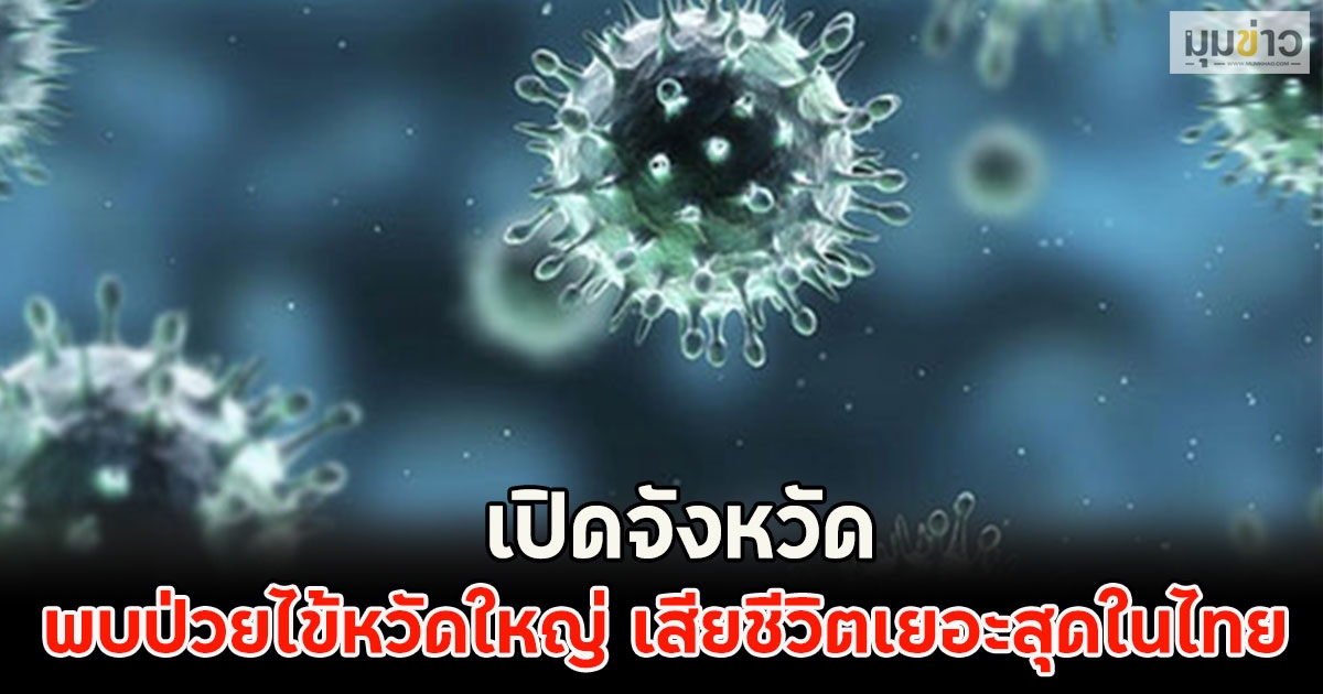 เปิดจังหวัด พบป่วยไข้หวัดใหญ่ เสียชีวิตเยอะสุดในไทย