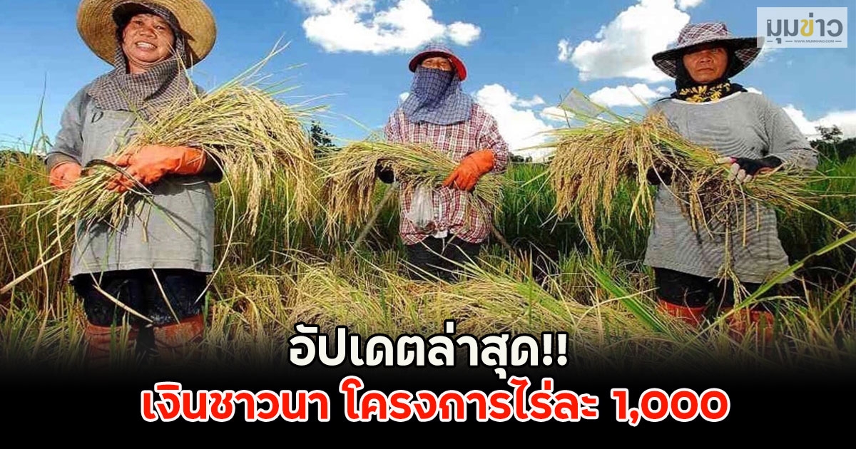 อัปเดตล่าสุด!! เงินชาวนา โครงการไร่ละ 1,000
