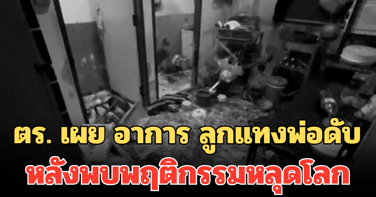 ตร. เผย อาการ ลูกแทงพ่อดับ หลังพบพฤติกรรมหลุดโลก