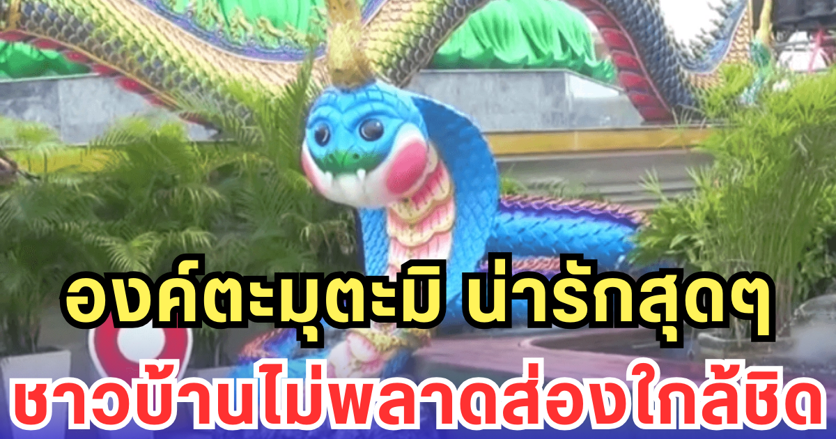 องค์ตะมุตะมิ น่ารักสุดๆ ชาวบ้านไม่พลาดส่องใกล้ชิด