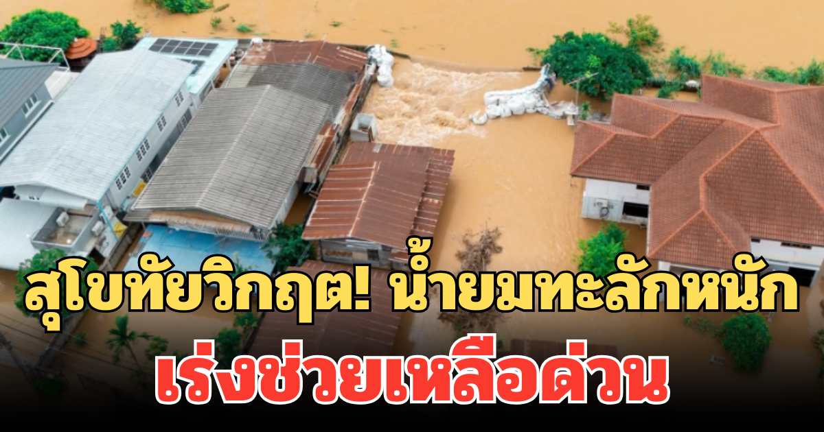 สุโขทัยวิกฤต! น้ำยมทะลักหนัก ท่วมชุมชน หน่วยงานเร่งช่วยเหลือด่วน