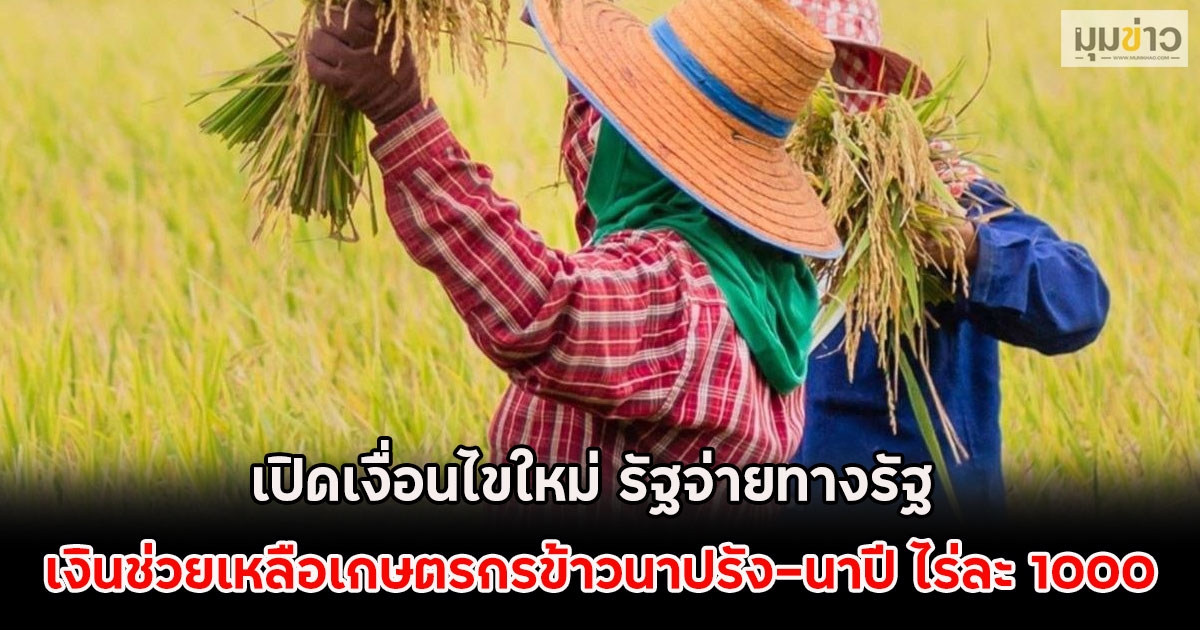 เปิดเงื่อนไขใหม่ รัฐจ่ายทางรัฐ เงินช่วยเหลือเกษตรกรข้าวนาปรัง-นาปี ไร่ละ 1000