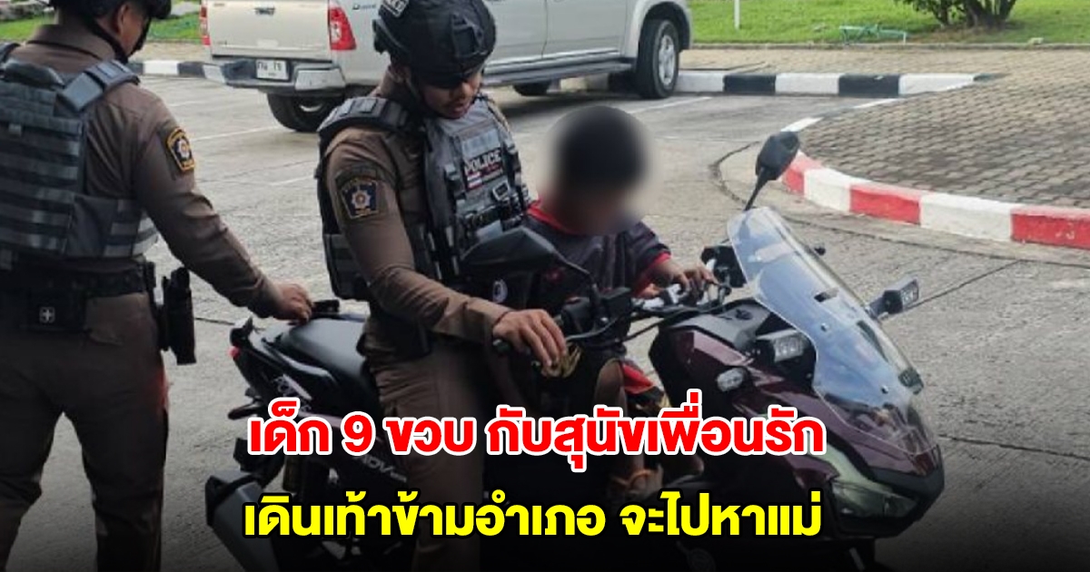 เด็ก 9 ขวบ กับสุนัขเพื่อนรัก เดินเท้าข้ามอำเภอจะไปหาแม่ ฟังเหตุผลแล้วสะเทือนใจ