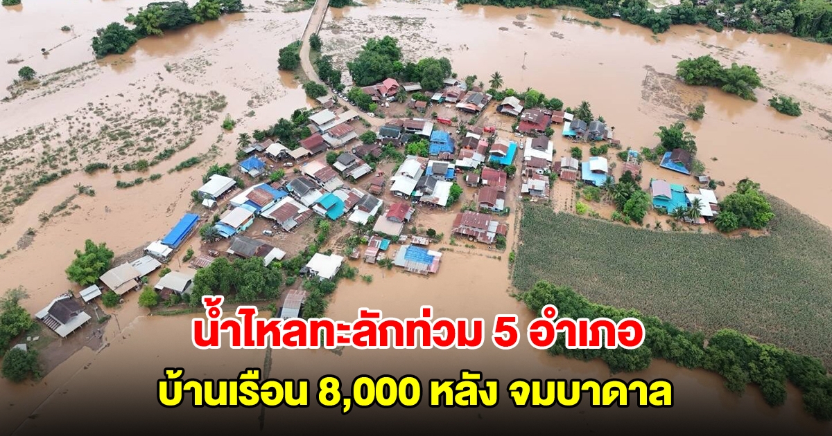เพชรบูรณ์อ่วม น้ำไหลทะลักท่วม 5 อำเภอ บ้านเรือน 8,000 หลัง จมบาดาล