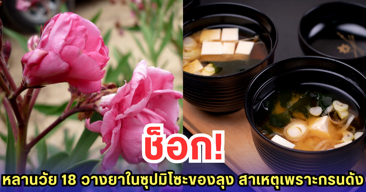ช็อก! หลานวัย 18 วางยาในซุปมิโซะของลุง สาเหตุเพราะกรนดัง (ข่าวต่างประเทศ)