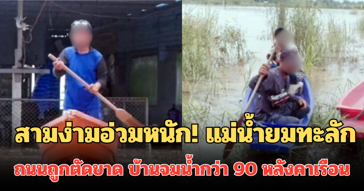 สามง่ามอ่วมหนัก! แม่น้ำยมทะลัก ถนนถูกตัดขาด บ้านจมน้ำกว่า 90 หลังคาเรือน