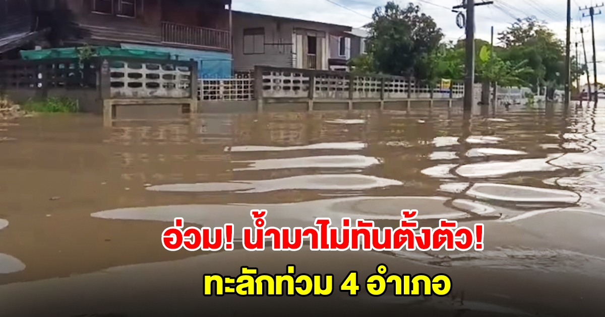ชัยภูมิอ่วม! ฝนถล่มทั้งคืน น้ำป่าหลากท่วม 4 อำเภอ บ้านเรือนจมบาดาล