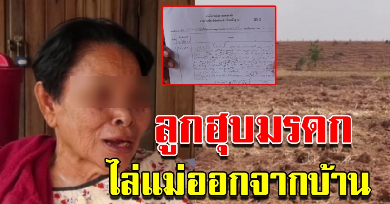 แม่ถูกบุตรฮุบมรดก