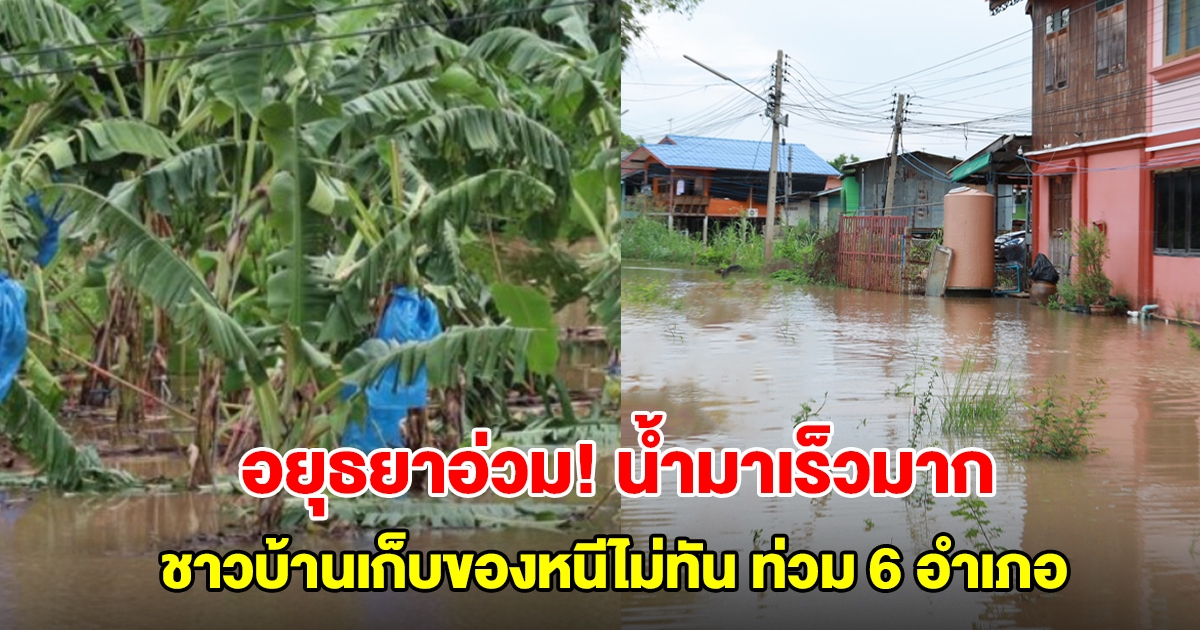 อยุธยาอ่วม! น้ำมาเร็วมาก ชาวบ้านเก็บของหนีไม่ทัน ทะลักท่วม 6 อำเภอ